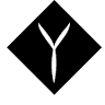 S.E. Yachting | SAY Ibiza Charter