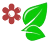 Santa Fe Extension Master Gardeners