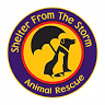 Shelter From the Storm Animal