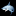 Shark Fishing Shop