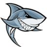Shark Racing Products