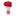Sharma Flower Decorators