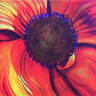 Sharon Fox-Mould Fine Art