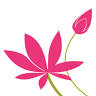 Shiga Petals Wedding