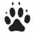 Shiny Paw