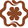 Shipibo Collective