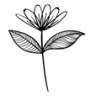 Kvietok