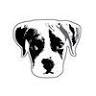 Shopdog Studios