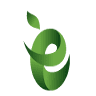 Evergreen Kosher Market