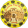 Shree Shamlaji Vishnu Mandir