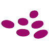 SicilyWinery.com