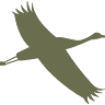Sierra County Recreation and Tourism