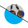 Silkworm Creative