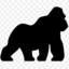 Silverback Gym
