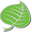 Silver Lining Herbs