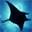 Similan Diving Safaris PADI 5 Star Dive Center