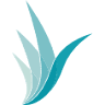 Simmons Wolfhagen Lawyers Smithton