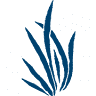 Singular Pharma Itaberaba