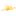Sioux Center Recreation Dir