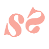 Sip and Style Co