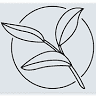 Good Karma Tea Co.