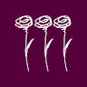 Sisay Floral Design. Premium Florist in Punta Cana Bavaro