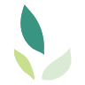 SKIN CANCER & COSMETIC CLINIC FLECKER HOUSE