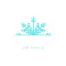Ski Rental Jiri Honcu