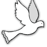 Skybird Yoga
