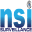 NSI SURVEILLANCE