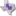 San Marcos Special Education