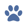 Snow Animal Health Care