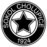 TJ Sokol Cholupice