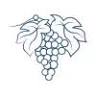 Sonoma County Oral Surgery & Dental Implant Center