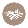 Boyd County Insurance