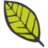 Southern Soil & Plant Lab