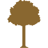 South Park Funeral Home and Cemetery