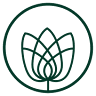 Aura Wellness Spa