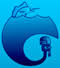 Space Coast Plumbing Inc