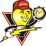 Mister Sparky