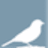 Sparrow Living LLC