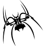 NAS Gun Store