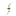 Spinelifecorp