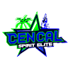 Cen Cal Spirit Elite Allstars