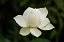 Spirit Of Healing Oasis - Reiki, Energy Therapy, Hypnosis, Massage