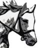 Sport Horse - Sportpferde Zucht