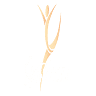 Sportscheune