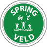 VBS Spring in't Veld