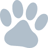 Springwell Veterinary Surgery