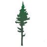 Spruce Barbershop